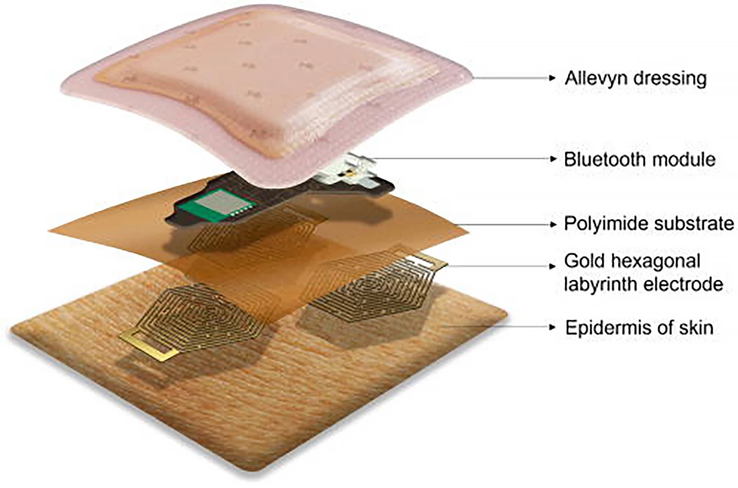 An artist's impression of the ECG device, showing the various layers, including a dressing, Bluetooth module and dry electrodes