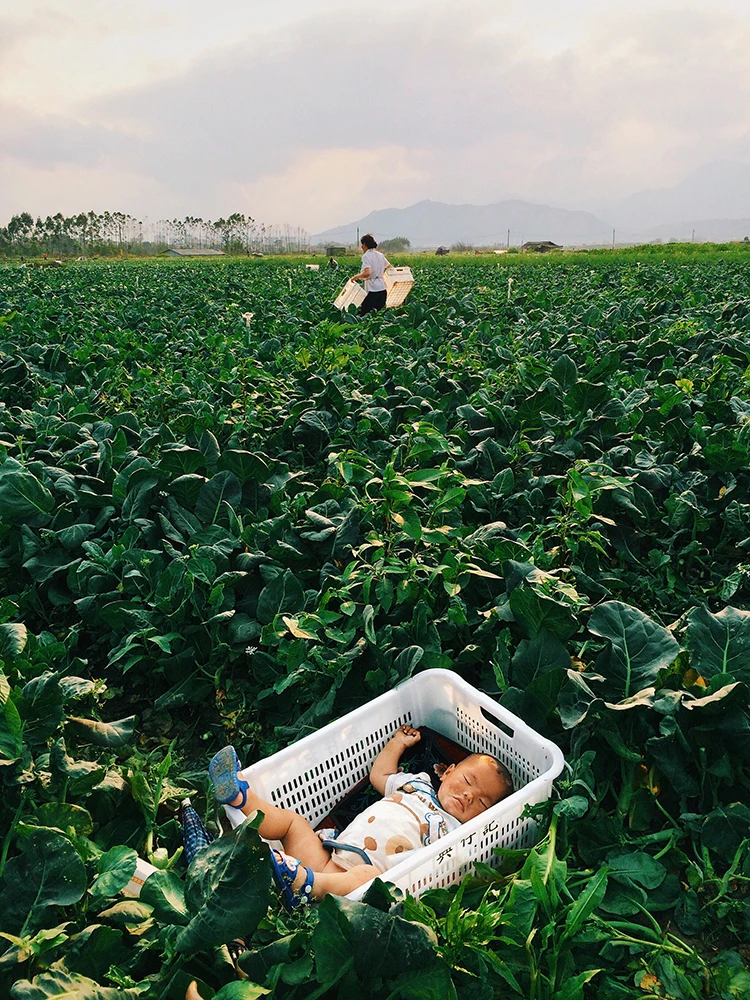 Third place in the lifestyle category of the 2018 iPhone Photography Awards