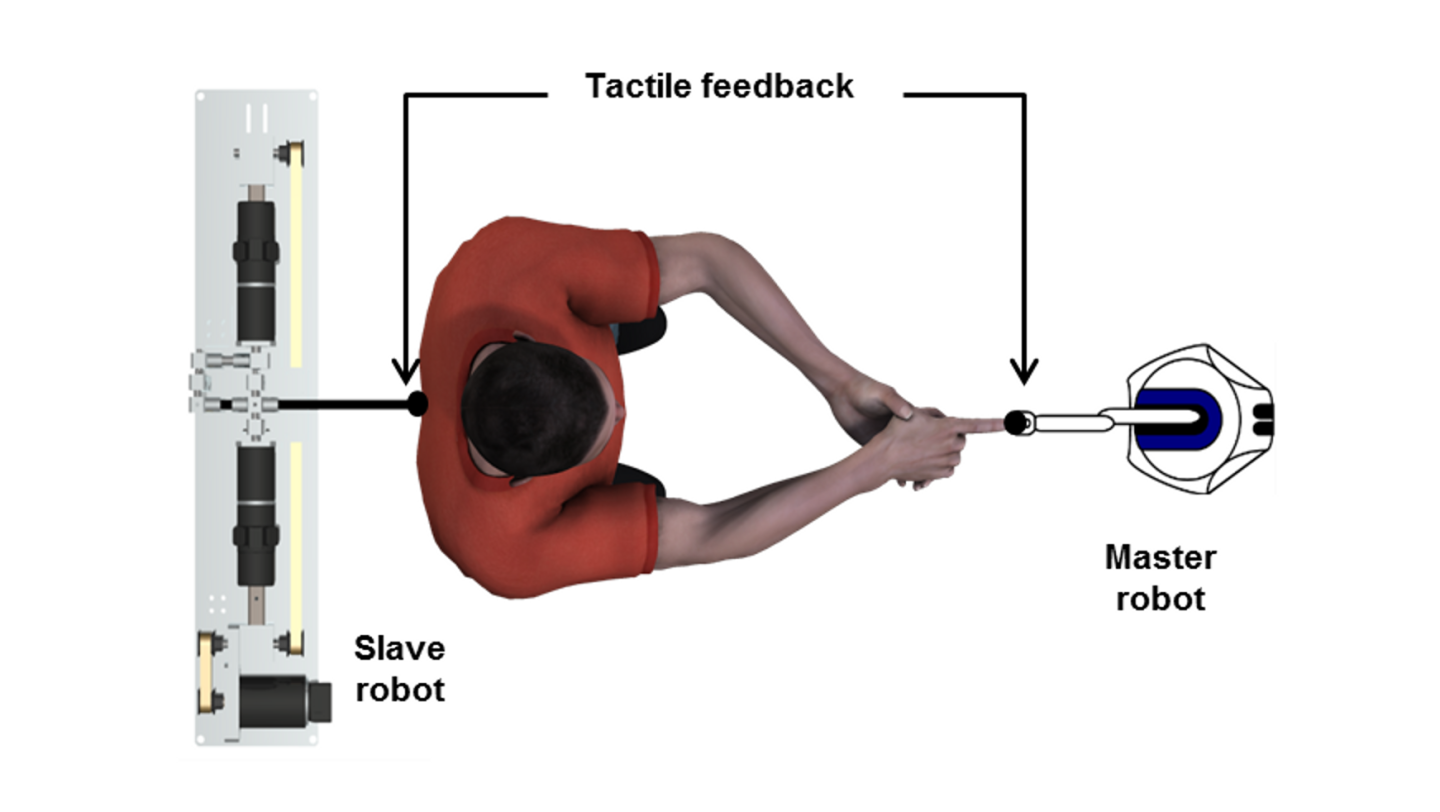 The participant, blindfolded, moves a robotic arm with his hands; the movements are mirrored on his back, providing tactile feedback with a short delay (Image: Current Biology)