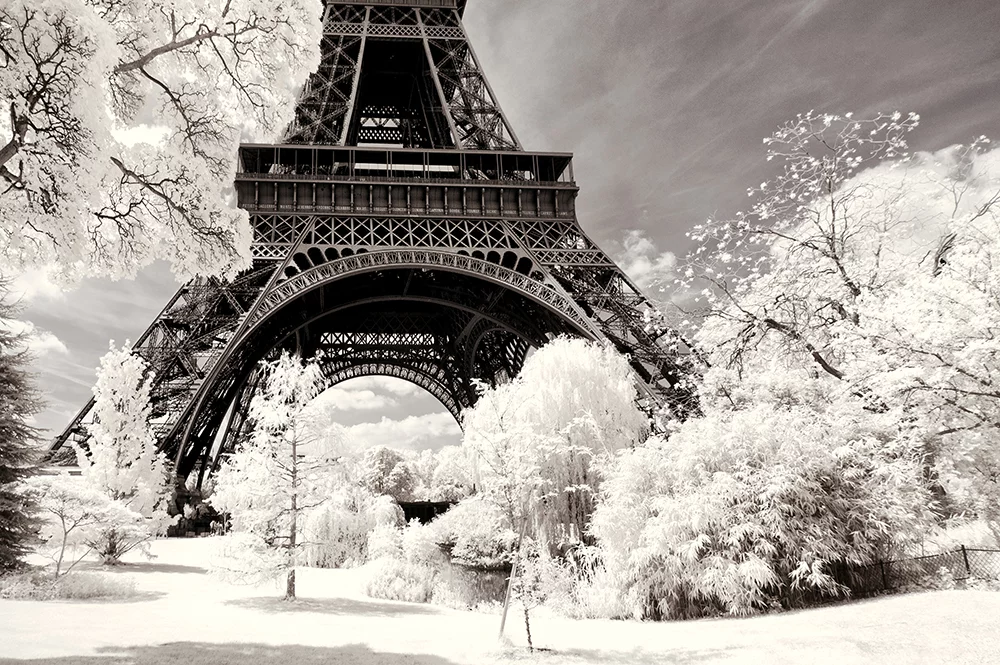 Nominee, Professional, Open Theme. From a series of Paris in winter infrared shots