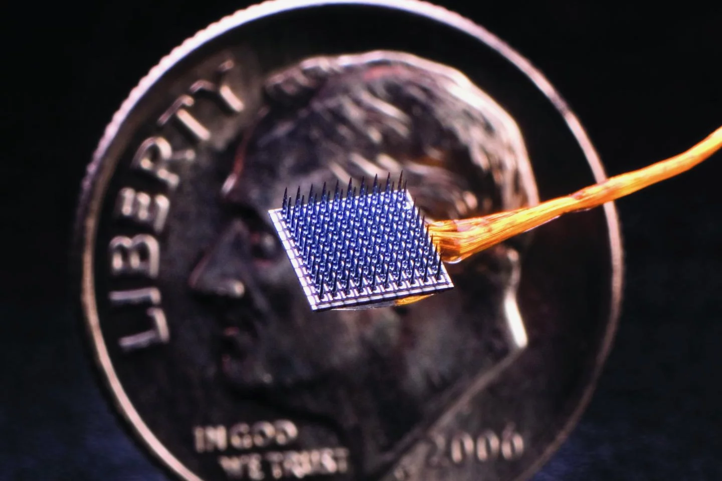 One of the implanted electrode arrays utilized in the new brain-computer interface