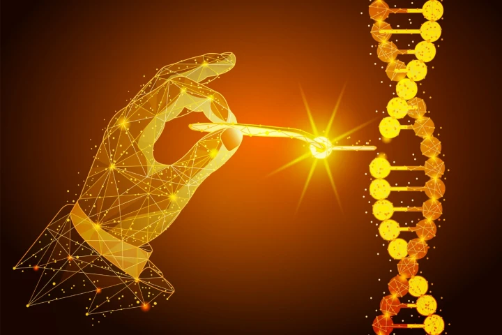 Newly discovered anti-CRISPR molecules can quickly inhibit the activity of the CRISPR-Cas9 gene editing process