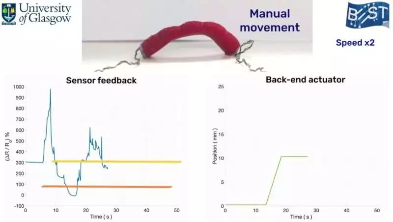A newly developed robot uses inbuilt strain sensors to gauge its body position, before moving itself forward