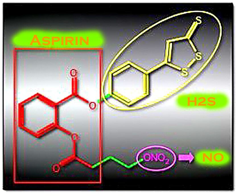 NOSH-aspirin: the scaffold of aspirin (red) bears arms that produce nitric acid (NO, purple) and hydrogen sulfide (H2S, yellow), which boost the safety and potency of the cancer-fighter (Image: City College of New York)