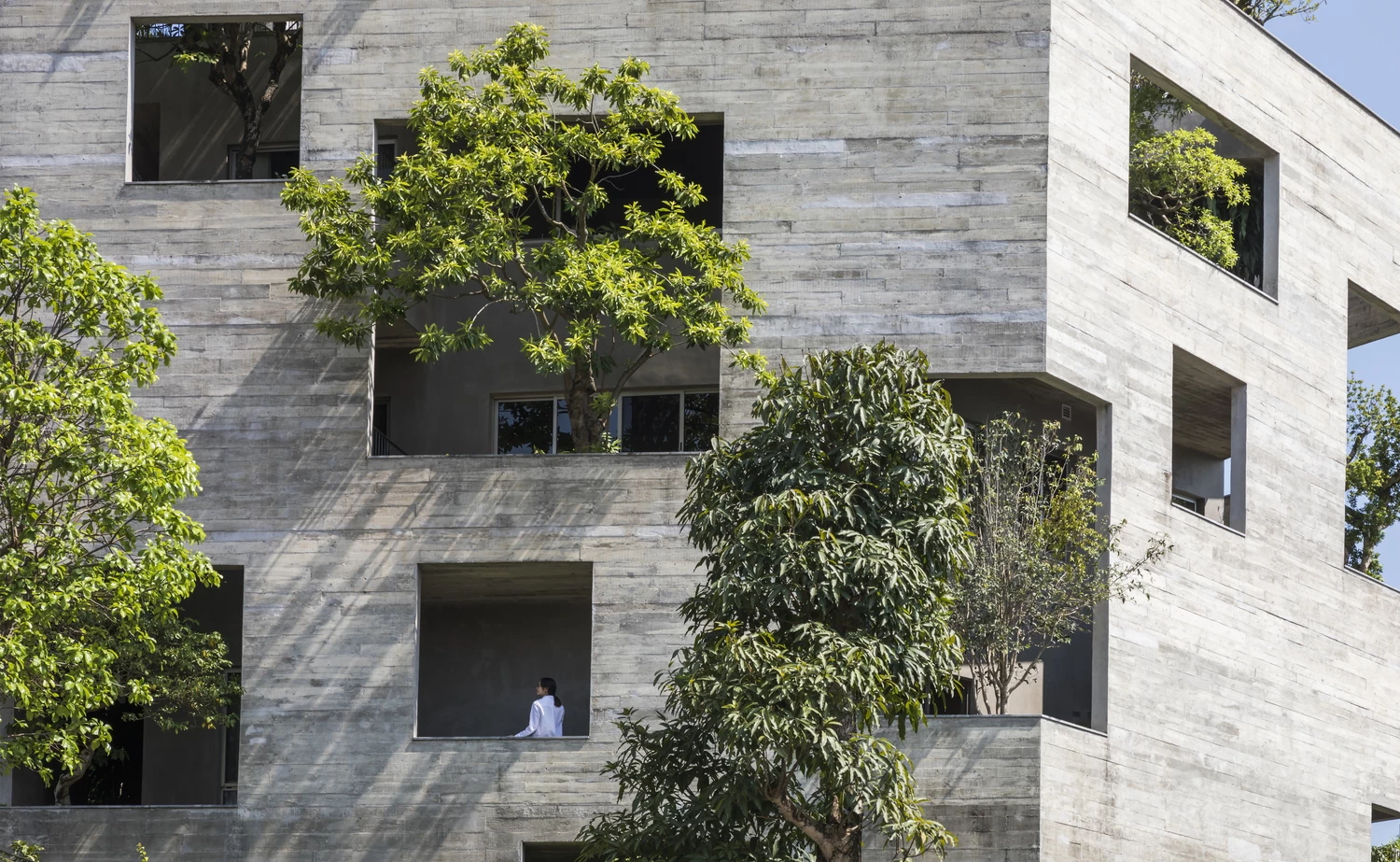 Ha Long Villa's greenery contrasts with its rough concrete exterior
