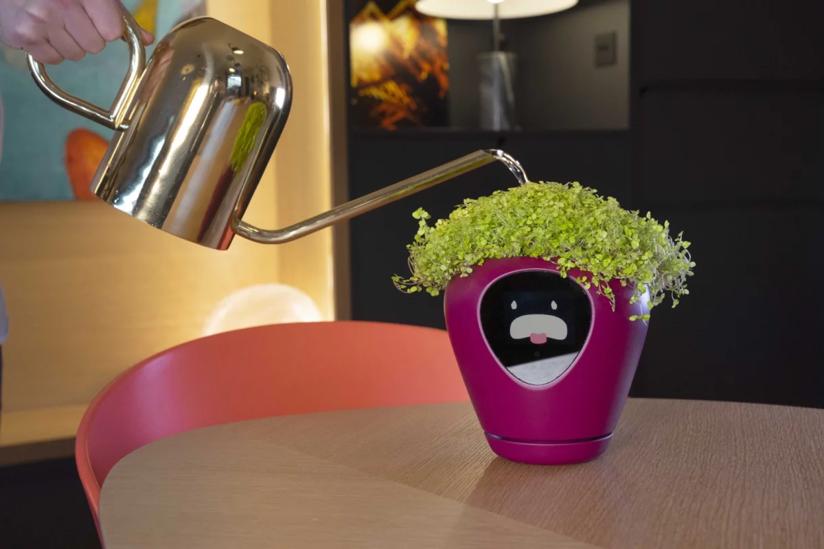 Lua will tell you when your house plant is thirsty via an animated face to the front of the smart planter