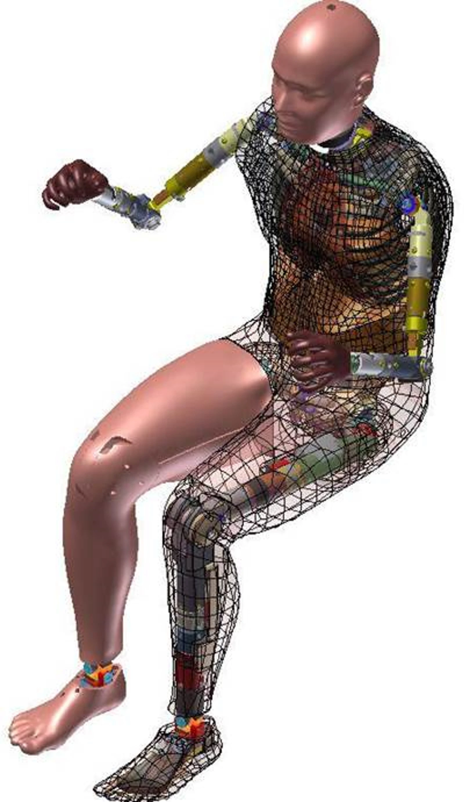 X-ray rendering of the WIAMan