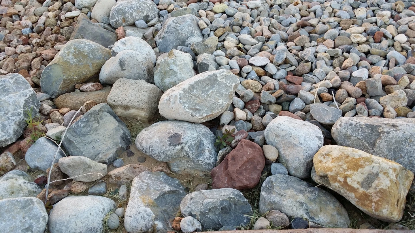 Outdoor shot taken in indirect daylight