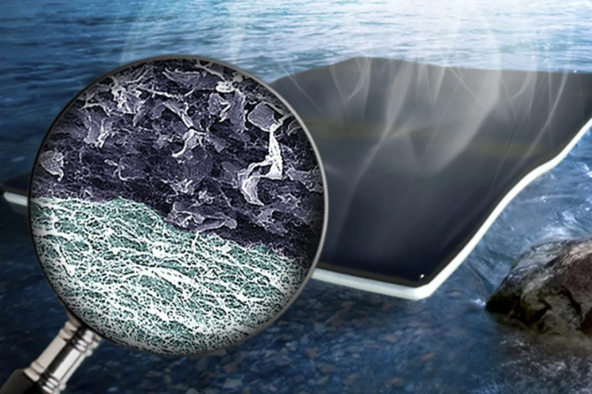A new system of bi-layered biofoam may provide the means to purify vast bodies of water simply by overlaying them with sheets of this new material