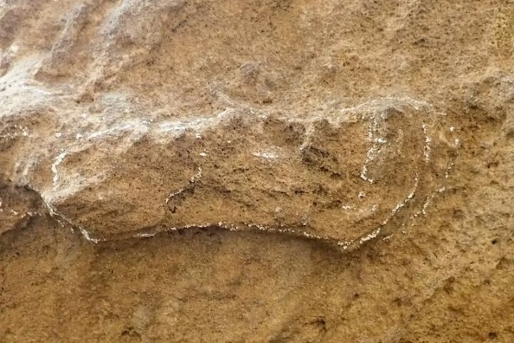 The oldest known Homo sapiens footprints, found in South Africa