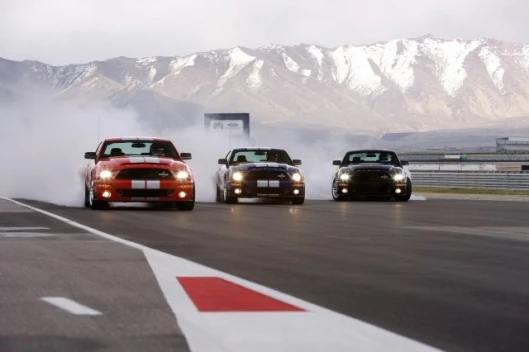 45th Anniversary of the Ford Mustang