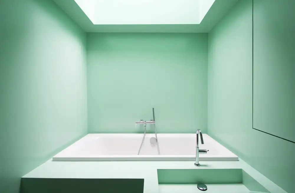 The SkinnyScar's snug bathroom