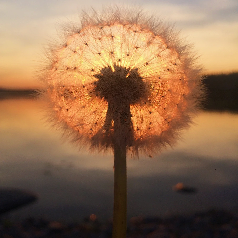First place winner of the sunset category of the 2018 iPhone Photography Awards