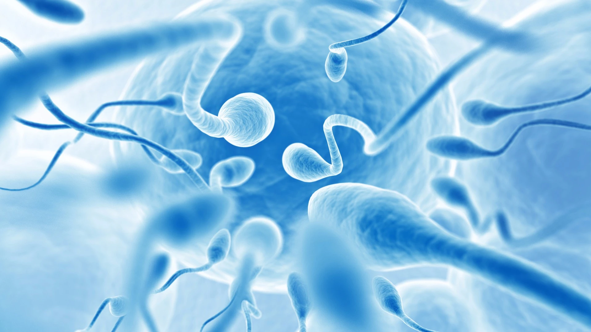 A large-scale meta-analysis of 185 studies across 40 years has found total sperm count among men in the West is in decline