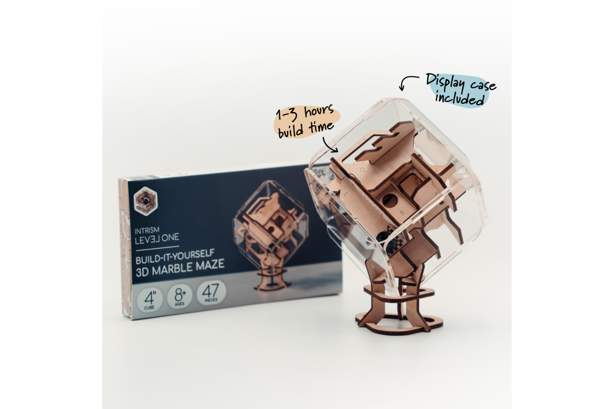 Imagination meets ingenuity with Intrism Level One DIY 3D Marble Maze