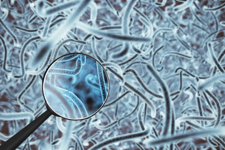 Cancer cells were found to hijack glucose from other cells to speed its own growth