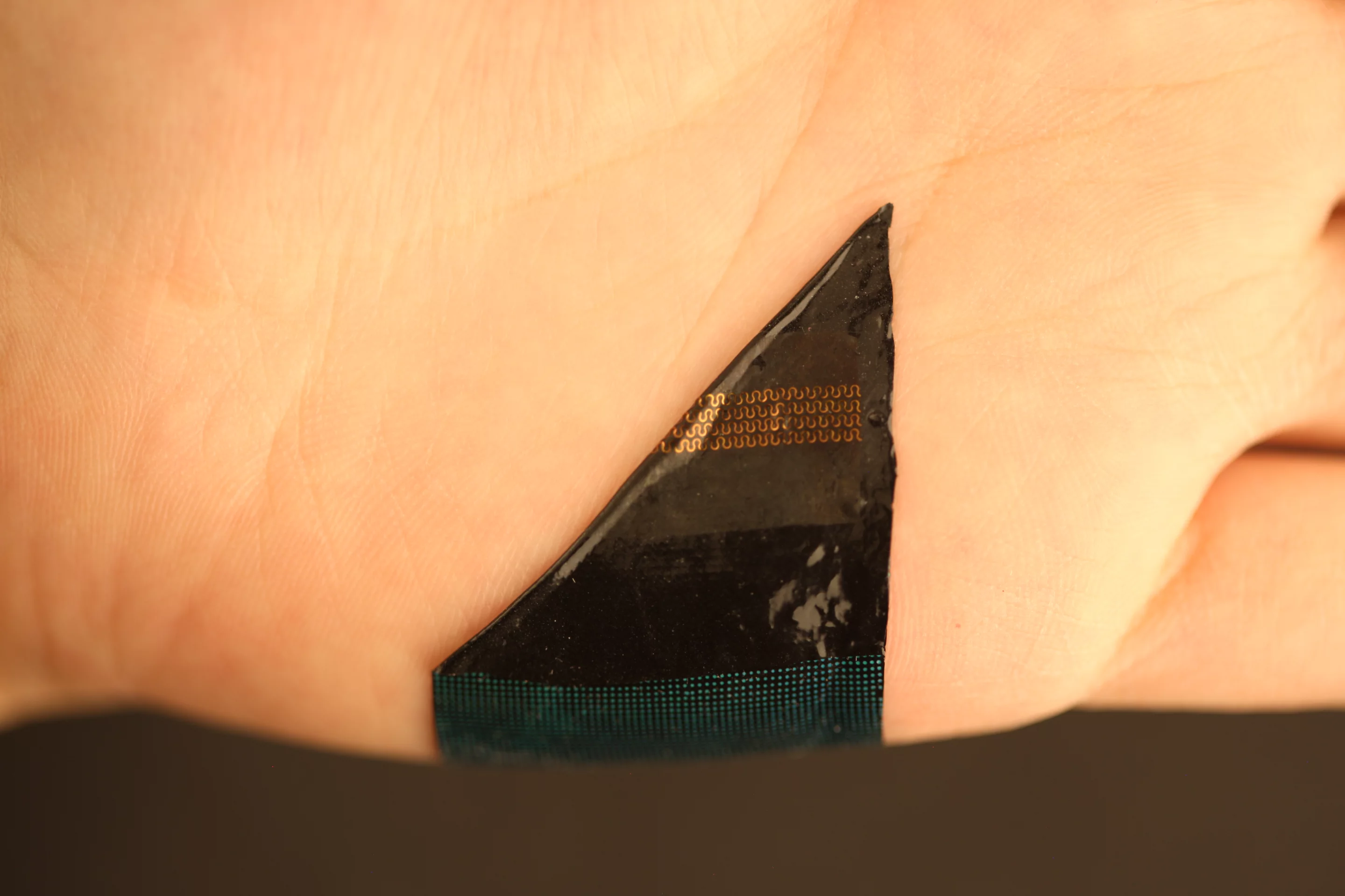 By tracking these changes in temperature, the device can identify the wearer's blood flow rate, which is indicative of cardiovascular health, while also monitoring skin hydration