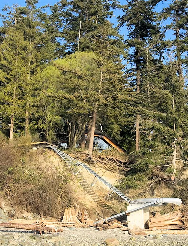 An only just-seen view of Sneeoosh Cabin from the shoreline (Photo: Zeroplus Architects)