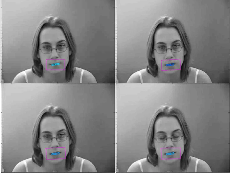 The scientists have already developed a 3D mouth-tracking algorithm