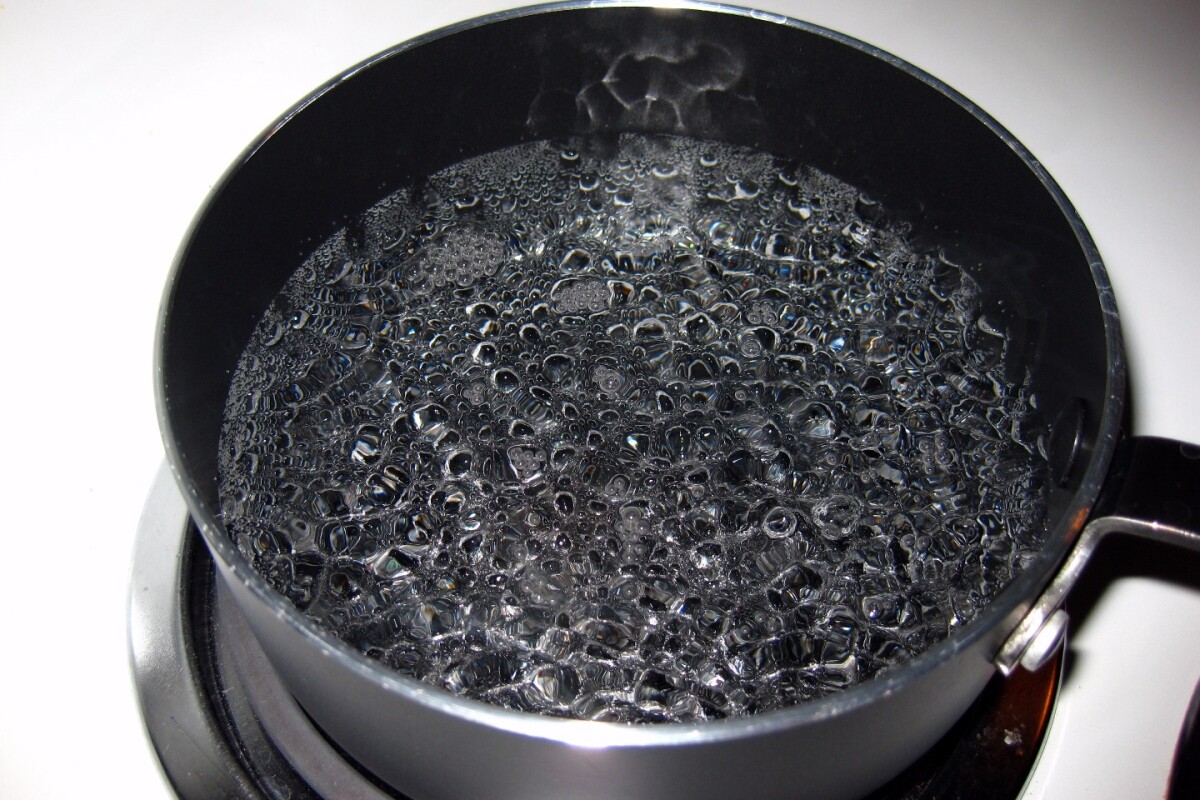 Putting bubbles on hold to unlock secrets of boiling