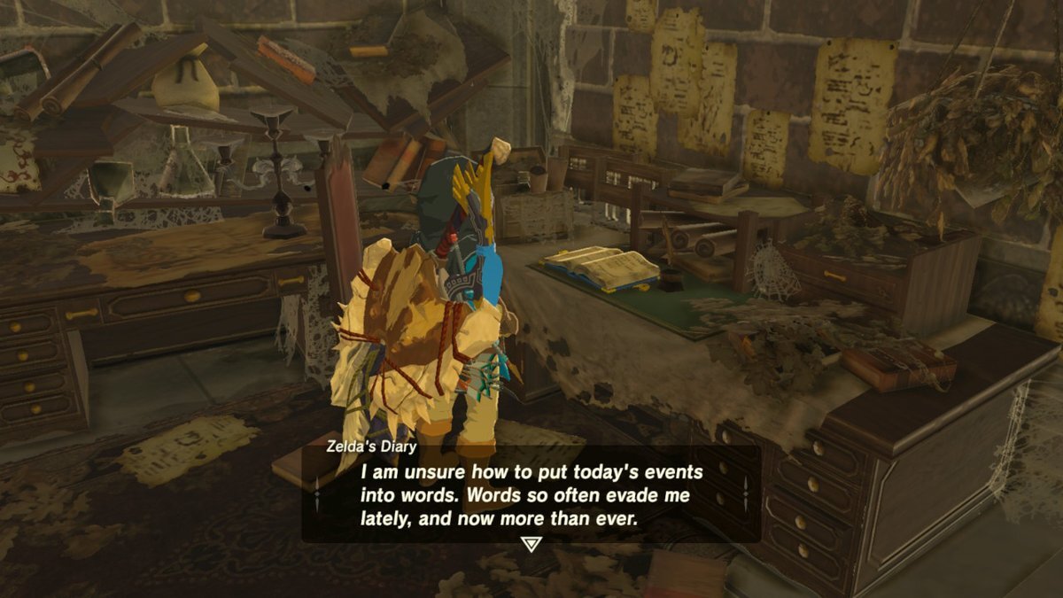 Zelda's diary