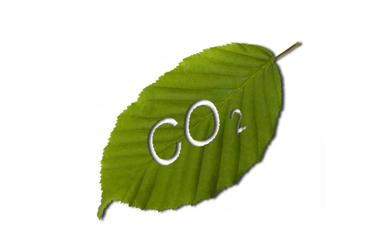 Inspired by the leaf, researchers have developed a molecule that uses sunlight to convert CO2 into CO