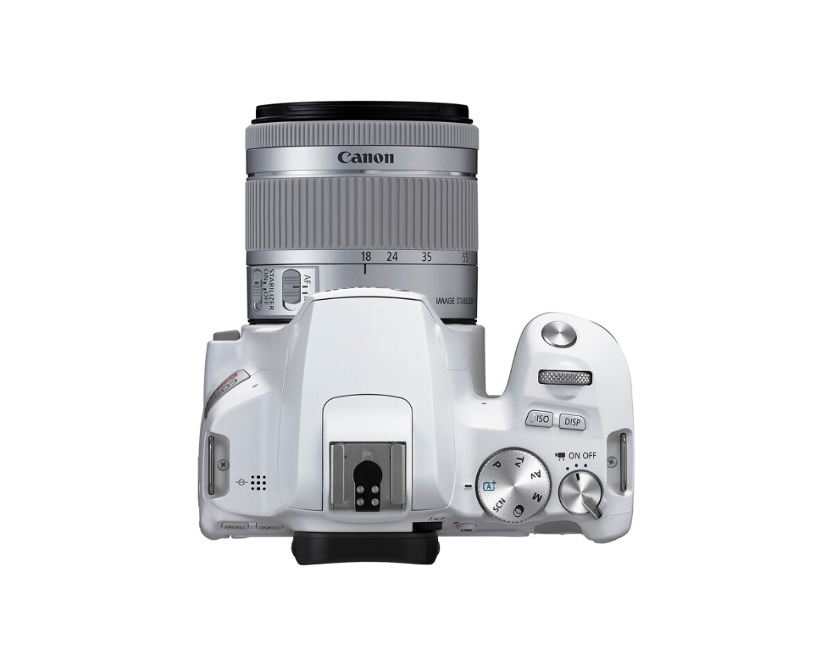 The Rebel SL3 offers the same nine AF points in the optical viewfinder as the SL2, but adds Spot AF that allows photographers to zero in on a precise subject area