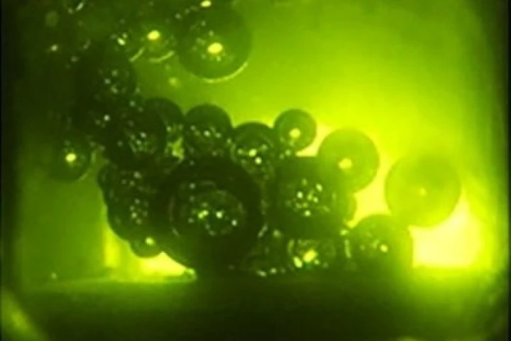 Bubbles forming around frying potato in zero gravity