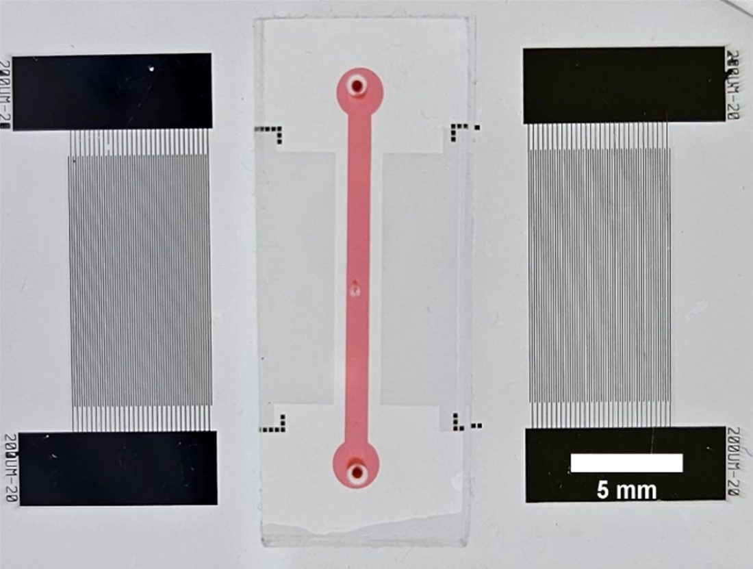 The inner workings of the chip