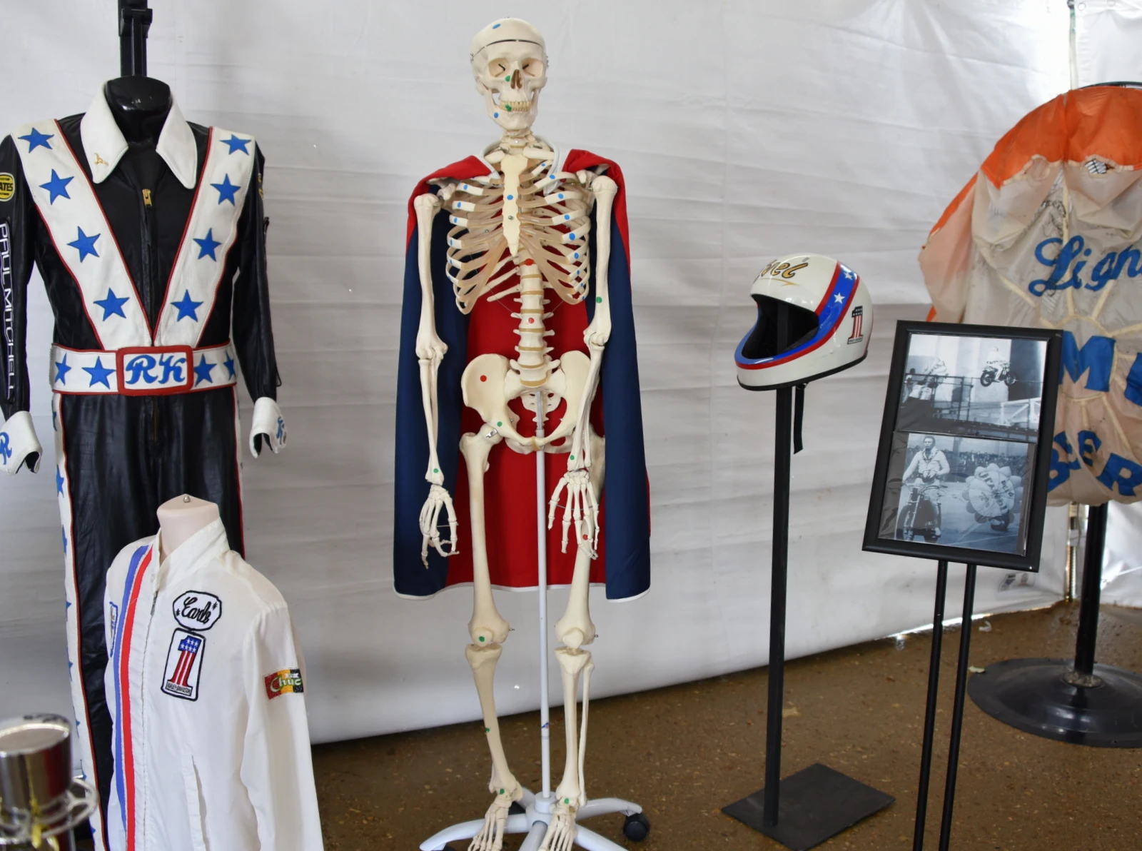 Every dot on the skeleton represent a broken bone (Photo: Vicki Smith/Gizmag.com)