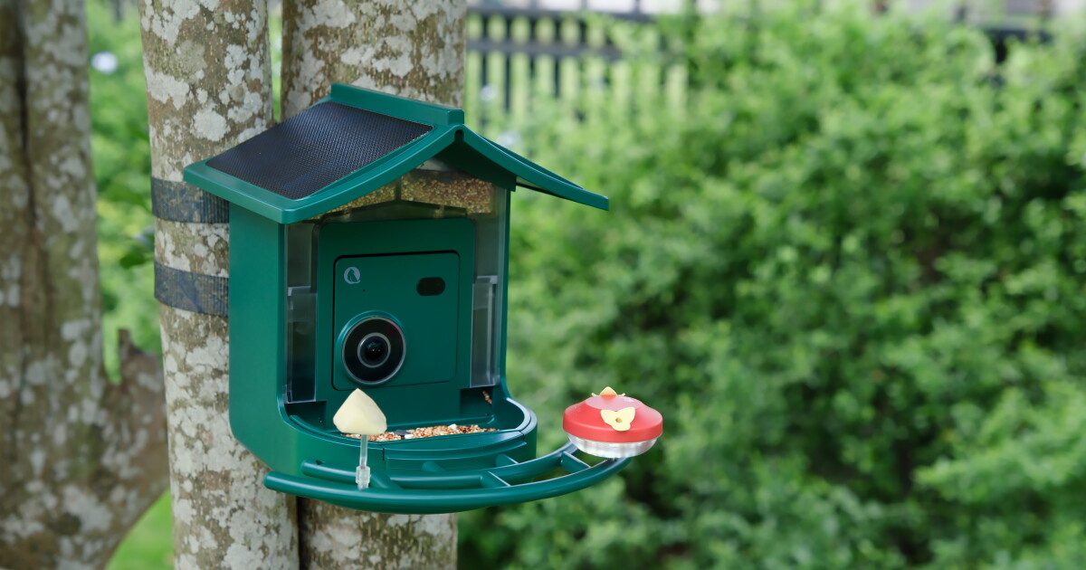BirdVue: World's First 4G Smart Bird Feeder Brings Birdwatching Anywhere