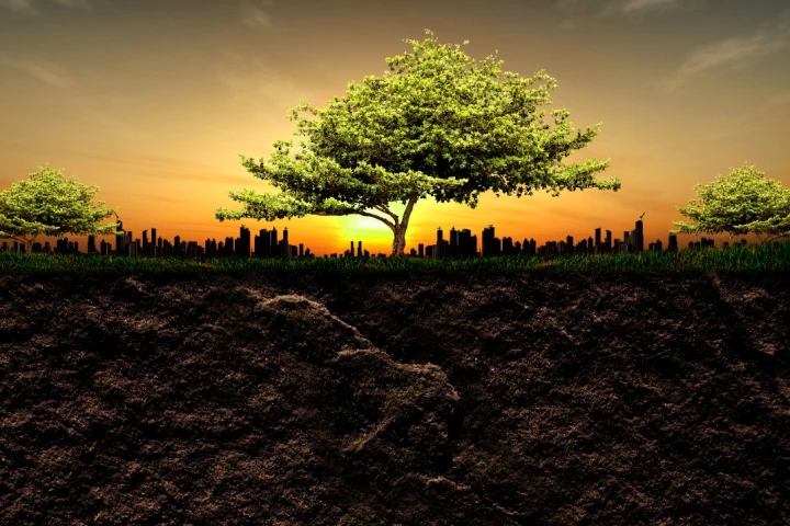 Researchers have cataloged the extensive biosphere of life deep beneath the surface of the Earth