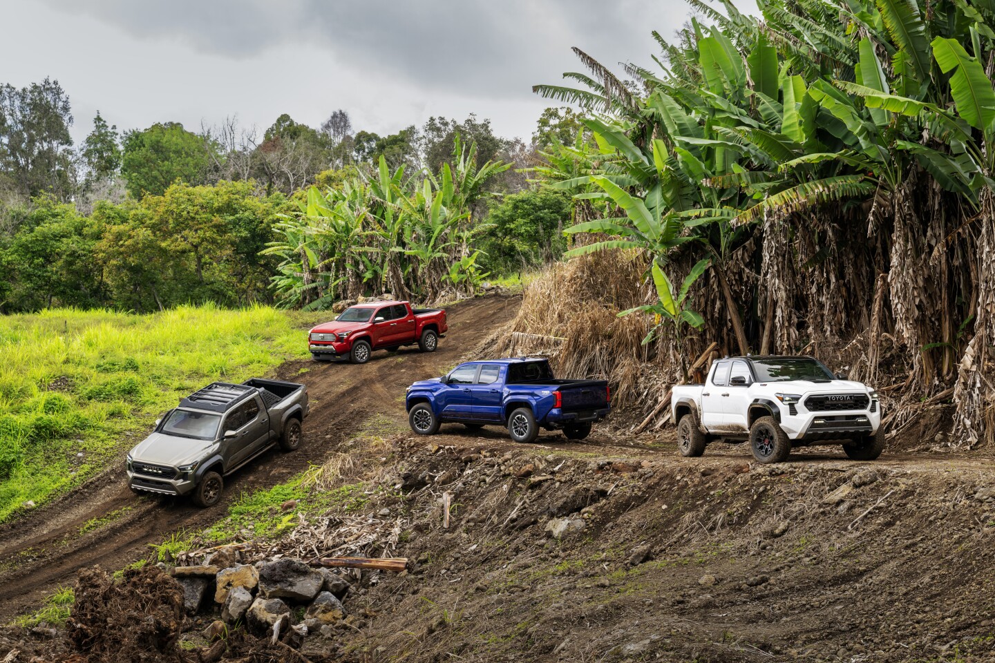Toyota overhauls the for 2025 with a focus on offroading