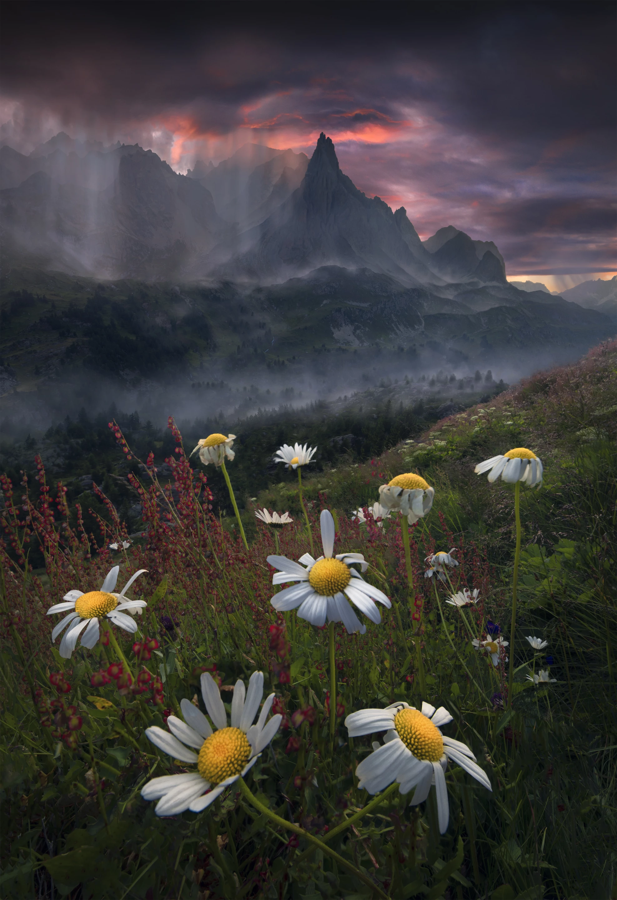 Photographer of the Year - Second Place. The Dark Lord. Vallée de la Clarée, French Alps