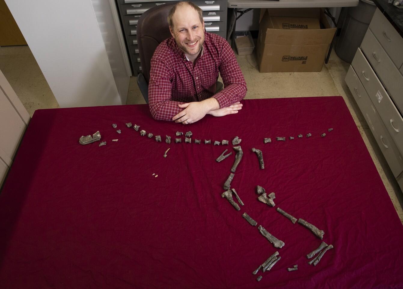 Lead researcher Sterling Nesbitt with the fossilized bones of S. hazelae