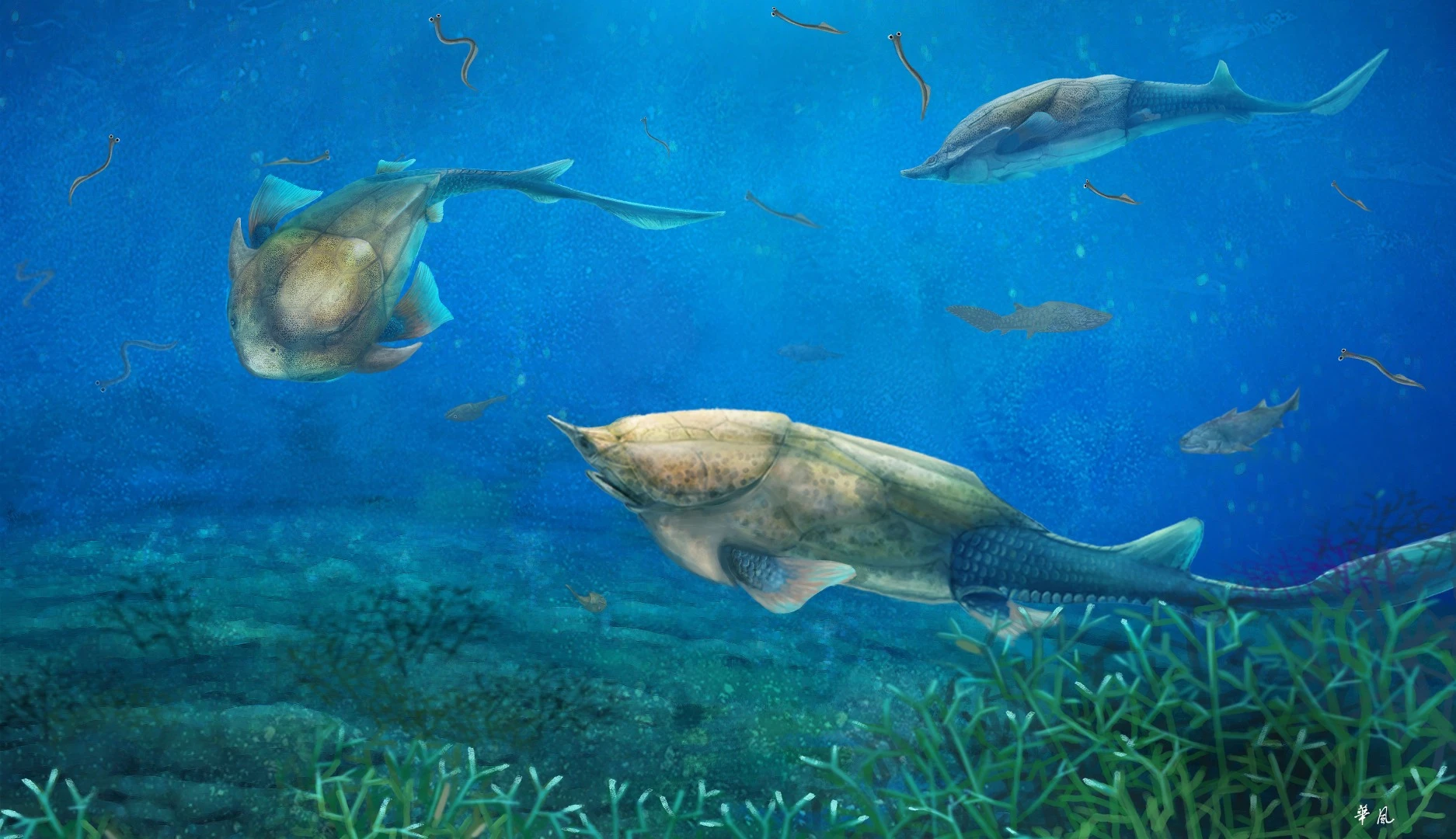 The Qilinyu lived 423 millions years ago during the Silurian era. What it lacked in looks it made up for with its gift to science – its jaw