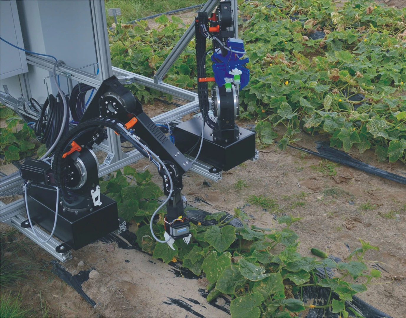 A prototype of the dual-arm robot system during the first field tests