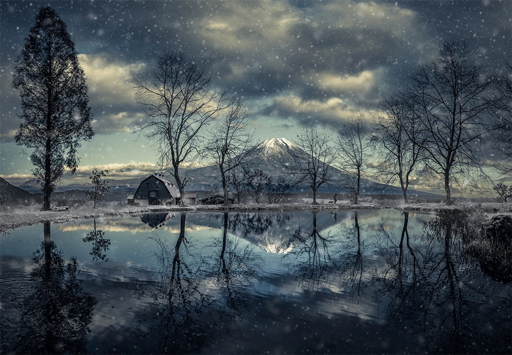 1st Place, Professional, Landscape. A woman walking the dog on a cold November morning mirrored in a small lake with Mt. Fuji