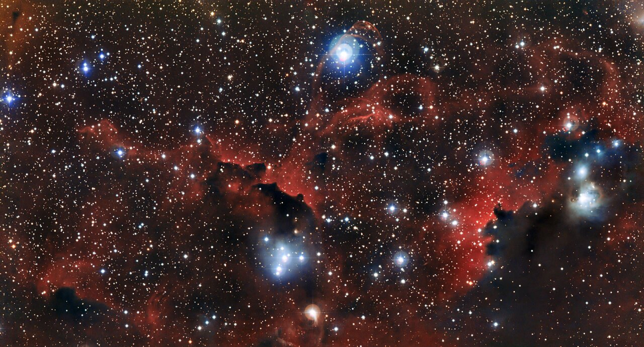 A section of the Seagull Nebula (IC 2177) taken by the MPG/ESO 2.2-metre telescope (Image: ESO)