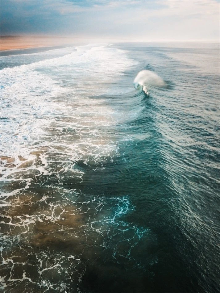 Honorable mention in the nature category of the 2018 iPhone Photography Awards
