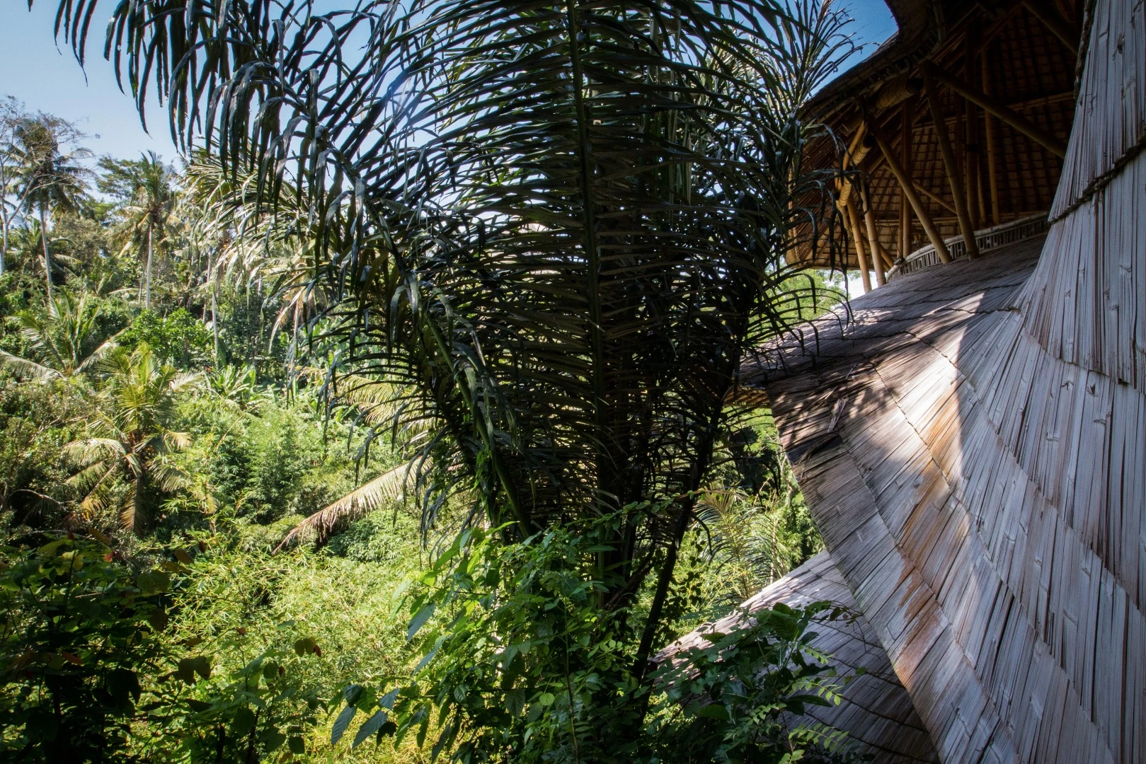 The dramatic overhanging roofs that enclose the homes of the Green Village are made from bamboo shingles and aluminum lining, which protect the interiors from the savage monsoon rains