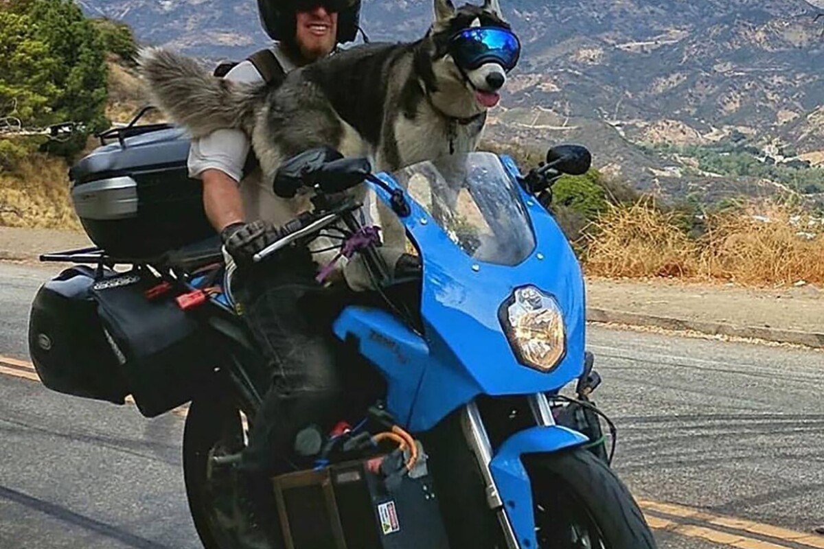 Terry and Charger on the road, with Charger's badass doggles