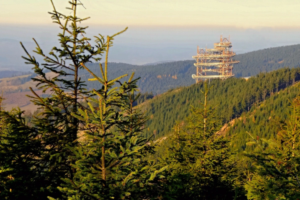 The Sky Walk is located at the top of a mountain 1,116 m (3,661 ft) above sea level
