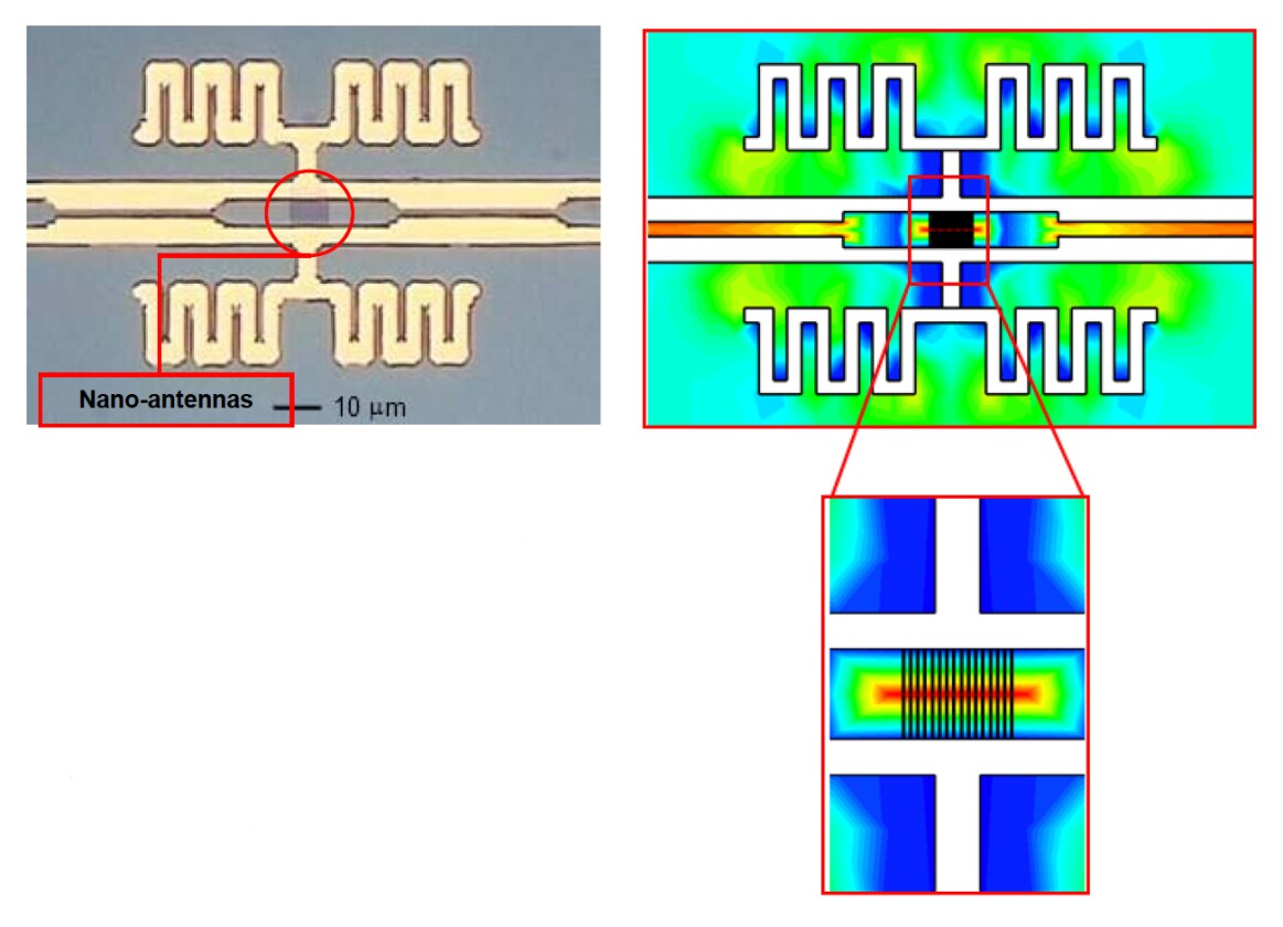 Optical microscope picture of the antenna structure (left) alongside the electric field distribution (right)