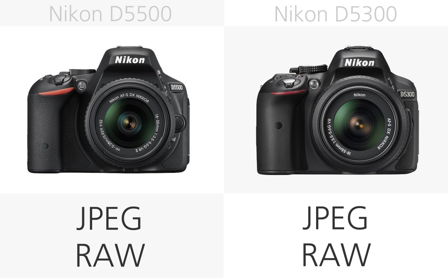 Nikon D5500 vs. Nikon D5300 flie types comparison