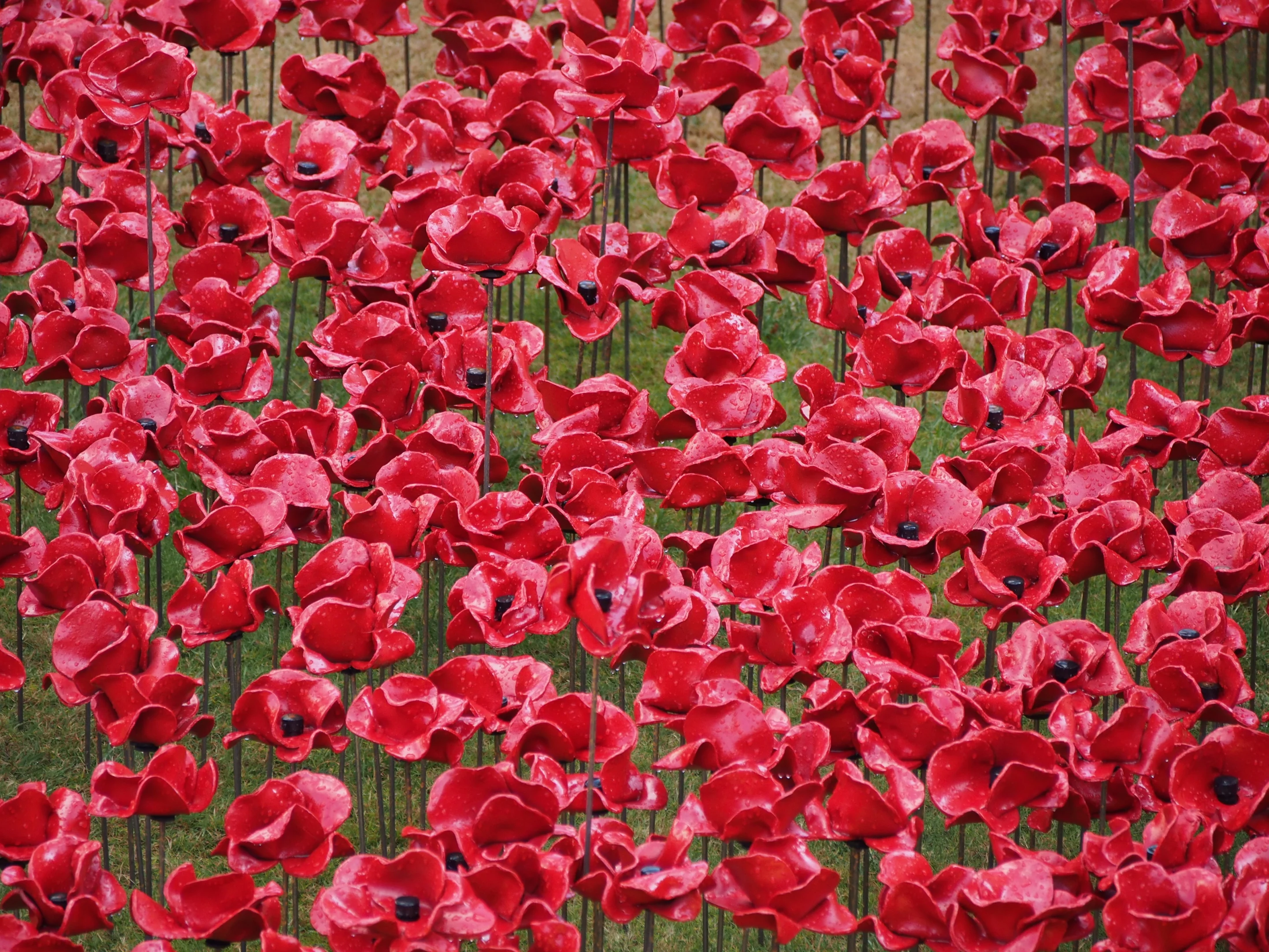 A team of volunteers is tasked with helping fill the moat that surrounds the tower with poppies (Photo: Adam Williams/Gizmag)
