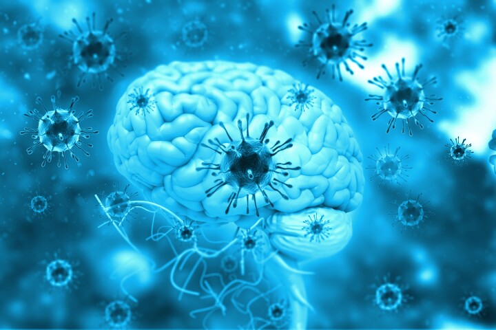 The findings indicate inflammatory signals to the brain, via the vagus nerve, are responsible for the neurological symptoms associated with COVID