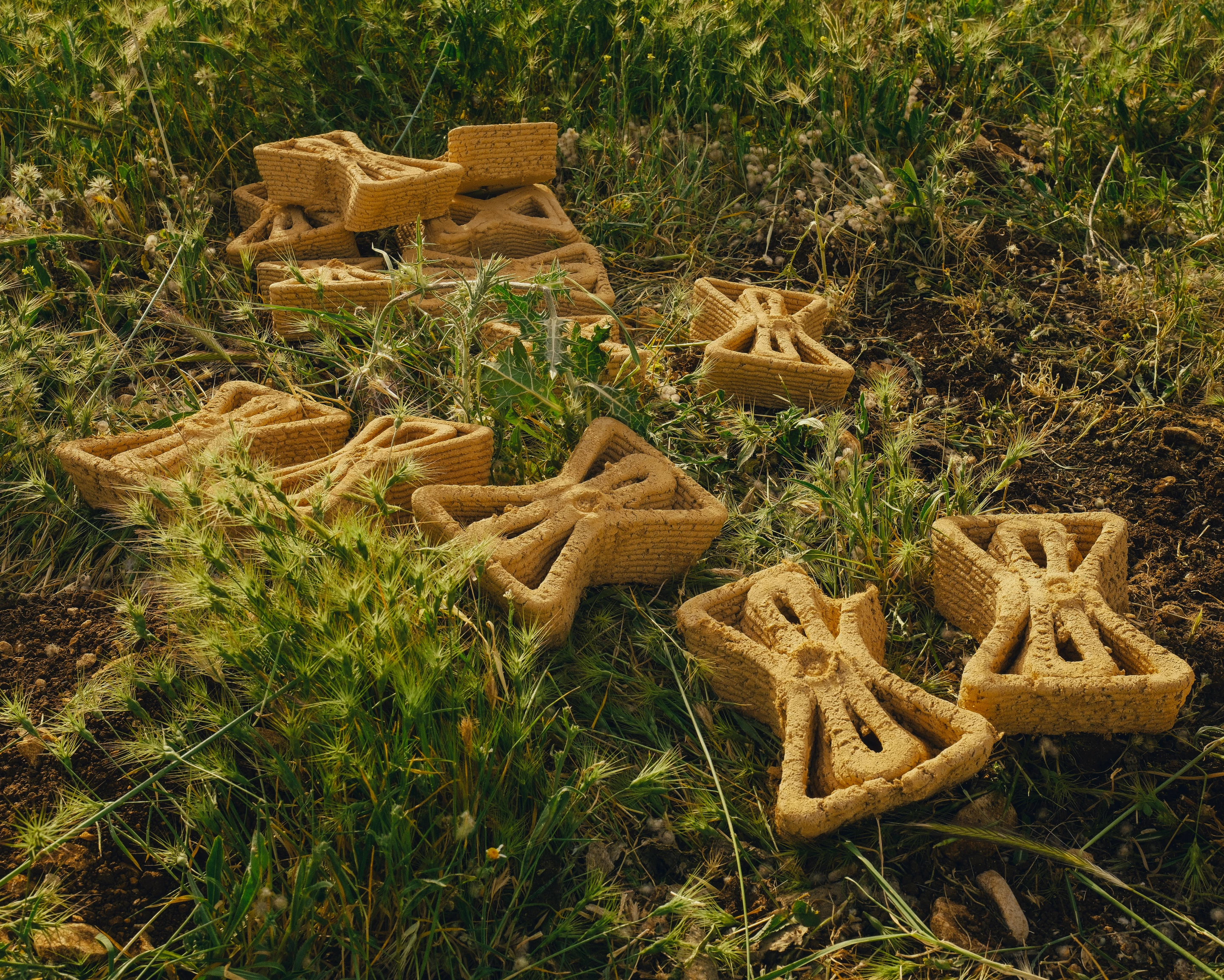 Architecture here is not a monument, but a collaborator: adaptive, and rooted in ecological balance