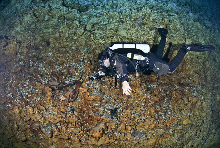 A diver with the remains of a giant ground sloth