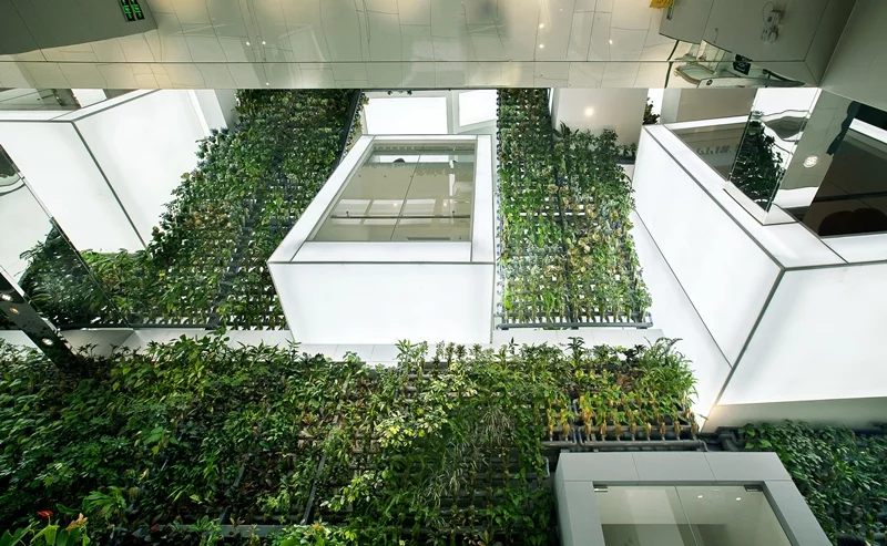 The green wall system can extend across multiple floors